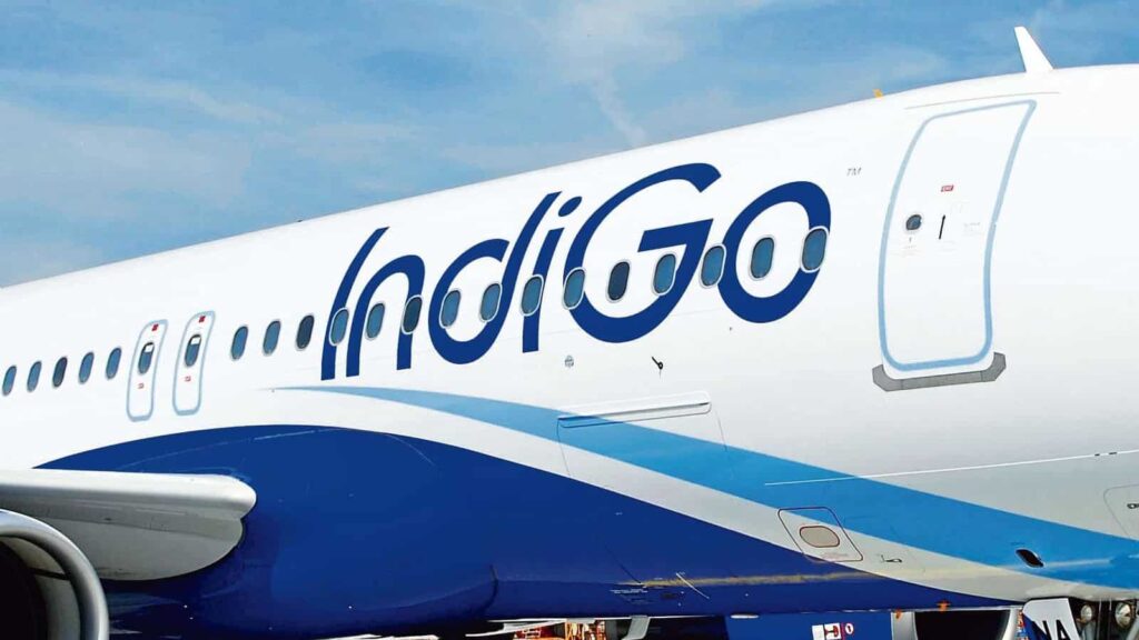 IndiGo appoints M Damodaran as non-independent non-executive director