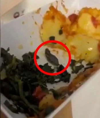 Snake Head Found In SunExpress Flight Meal | EXCLUSIVE