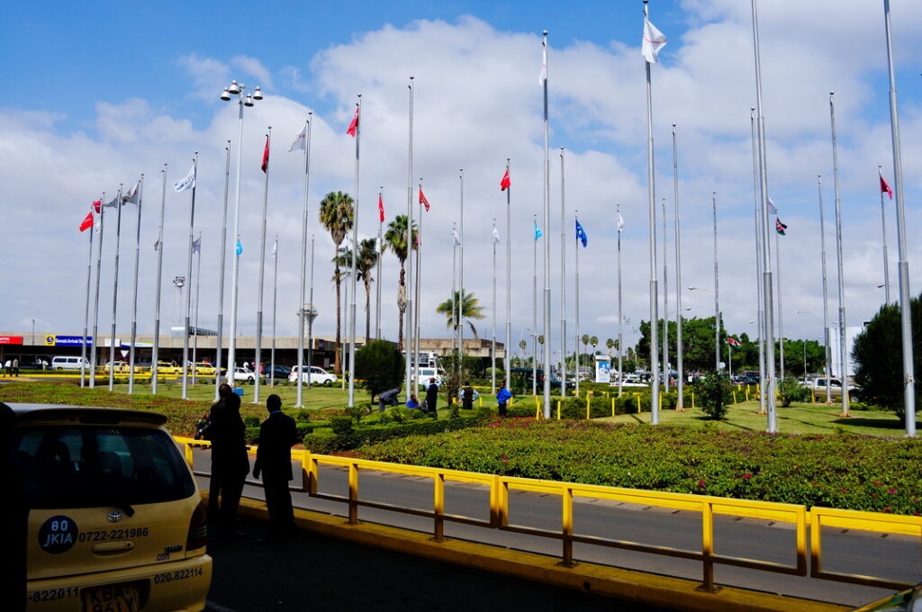 After an SAI cargo plane bird strike, the runway at the Kenya airport is closed.