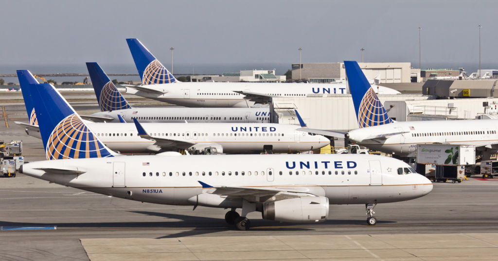 Two United airlines bird strike incident
