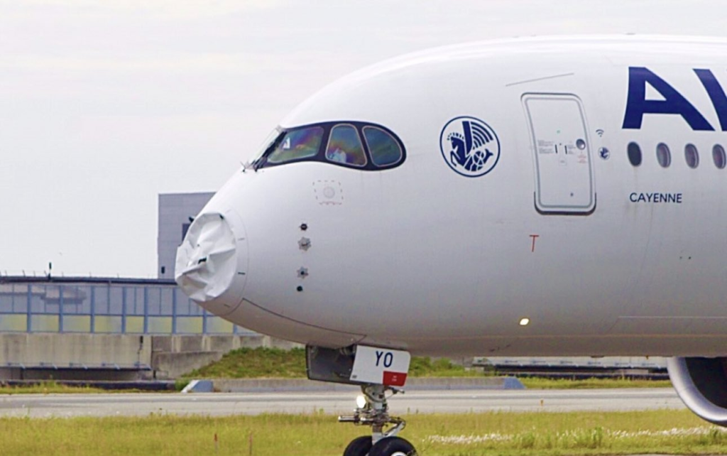 Air France Airbus A350 Damage by Bird; Forced to Make an Emergency Landing in Japan