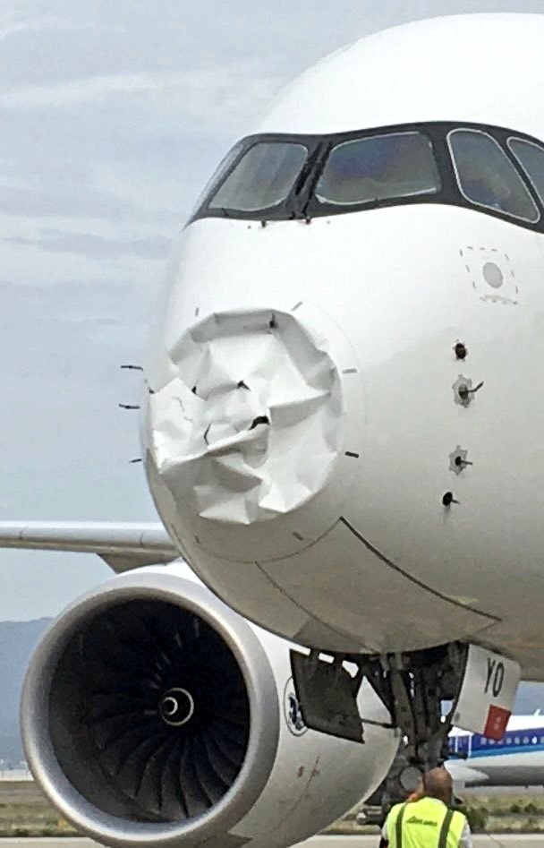 Air France Airbus A350 Damage by Bird; Forced to Make an Emergency Landing in Japan