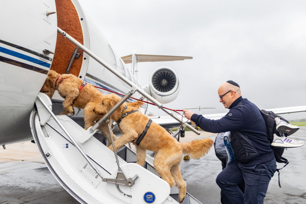 Plane tickets for store dogs