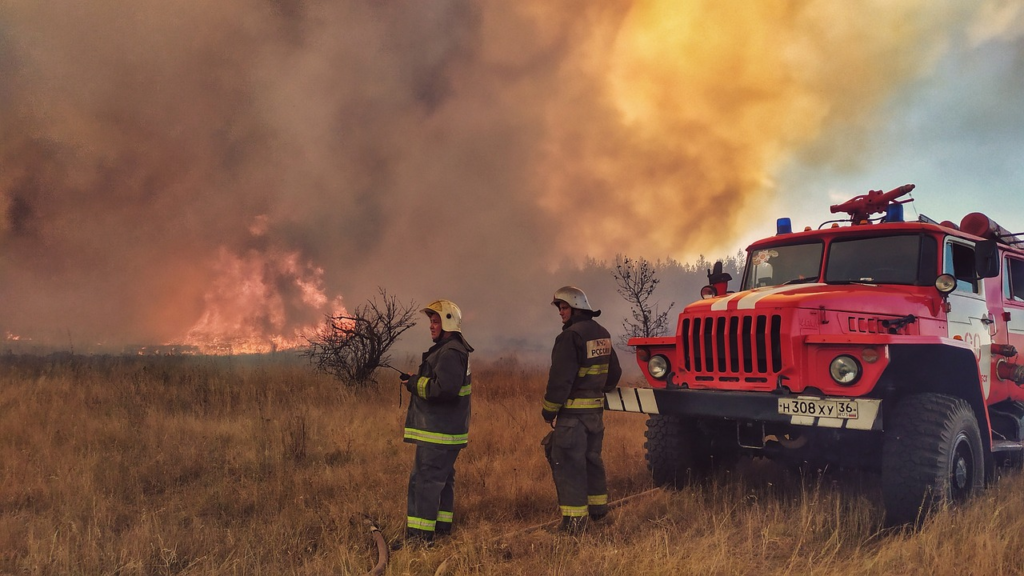 ATLANTA- Delta Air Lines (DL) employees are actively stepping forward to assist individuals impacted by the devastating wildfires wreaking havoc in Hawaii, in addition to the airline's substantial contribution of $250,000 to the American Red Cross.