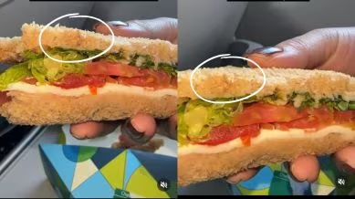 An IndiGo passenger found a worm in a sandwich served onboard a flight from the national capital to Mumbai, 