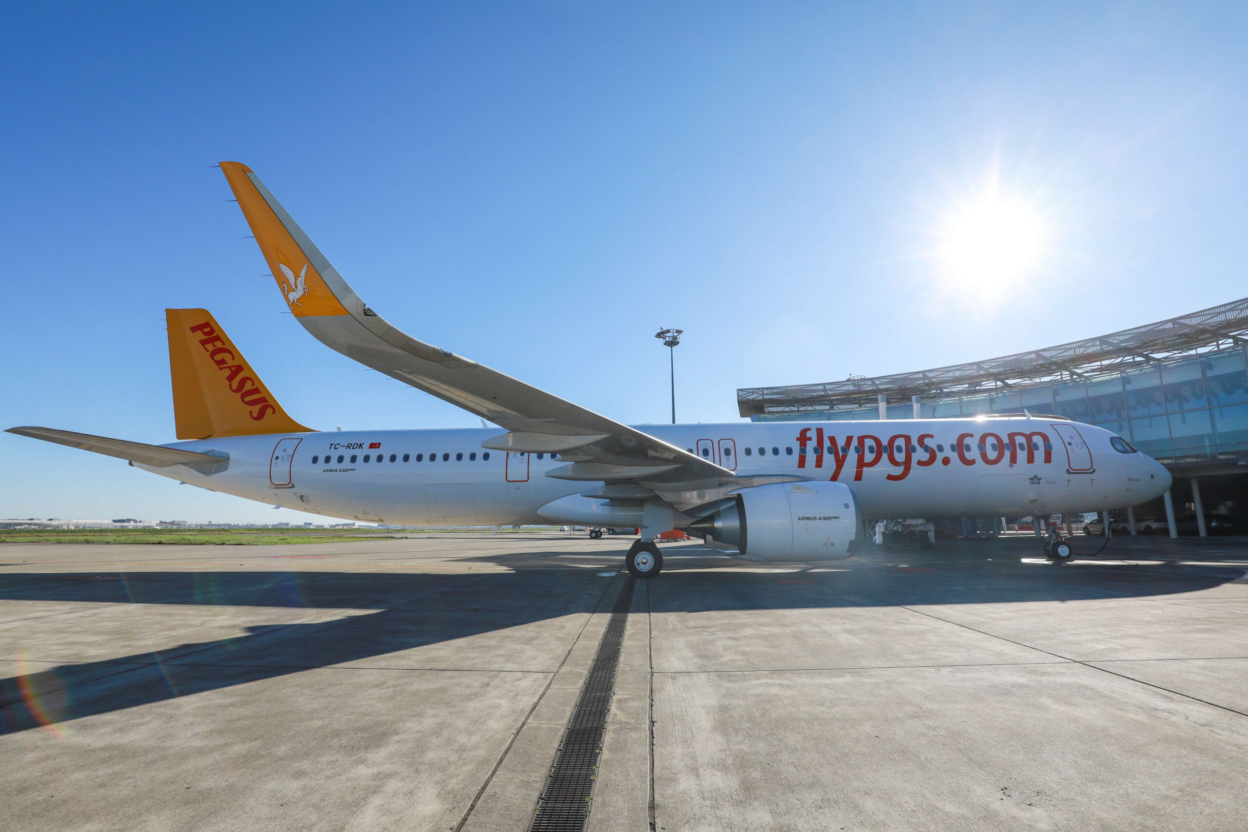 Pegasus airlines отзывы 2024. Airbus a320neo Pegasus Airlines. Airbus a320neo Пегасус.