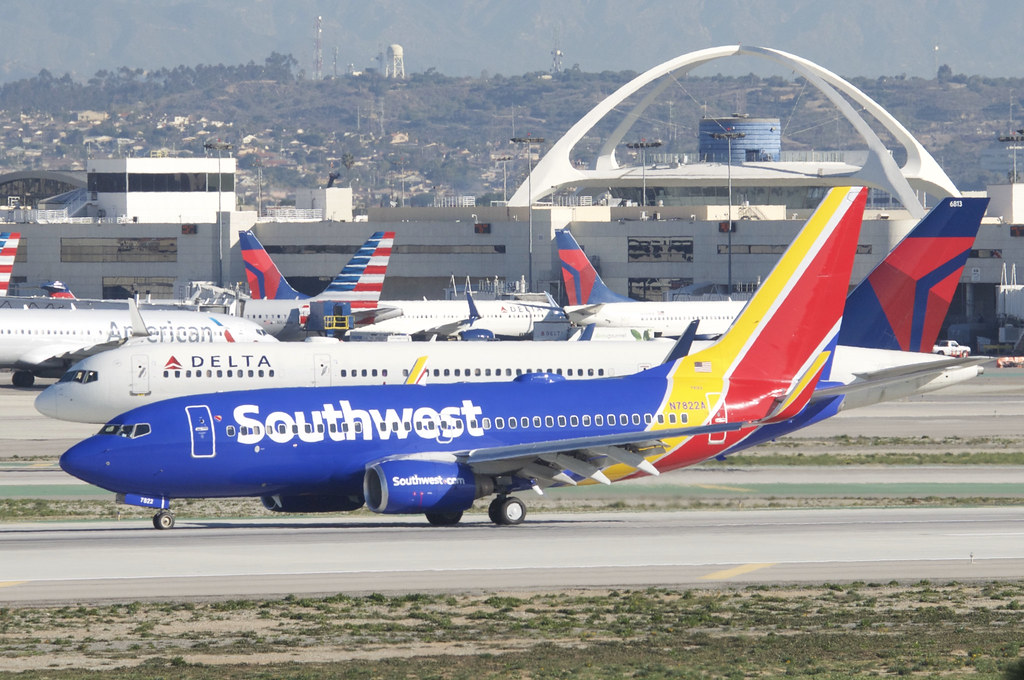 United Boeing 737 MAX Suffers Bird Strike at San Francisco