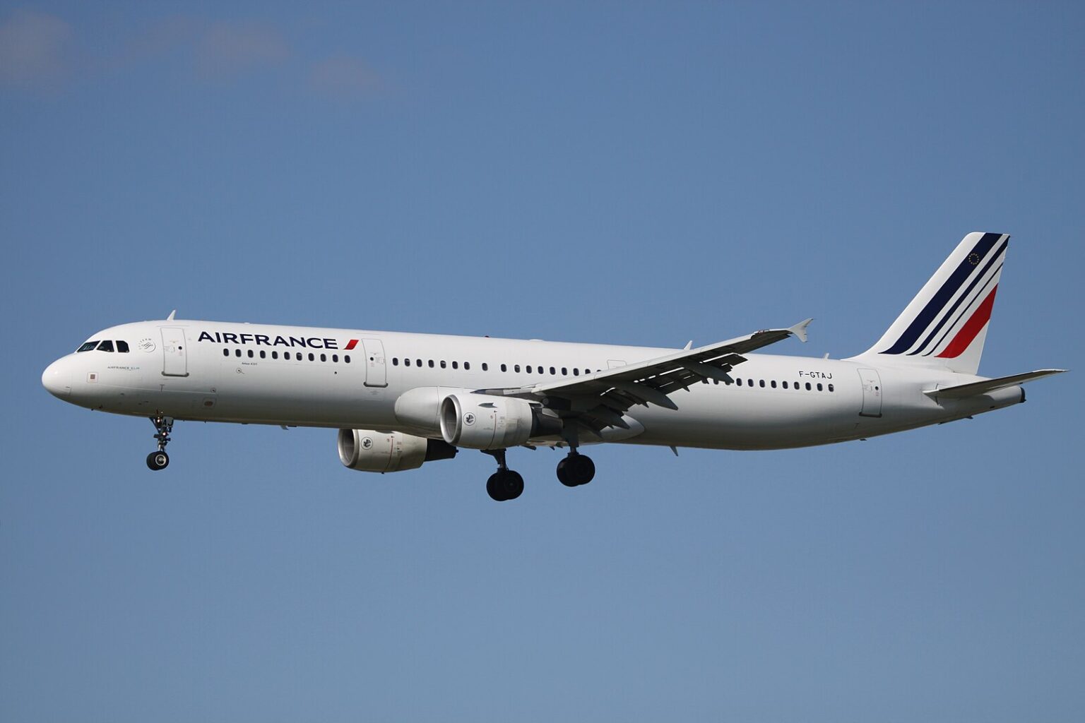 How a Runaway Dog Temporarily Closed Runways at Paris Airport?