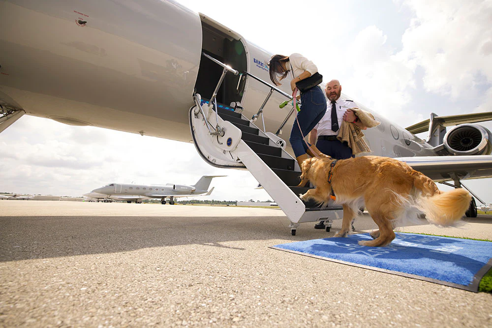 BARK Introduces New Era of Travel Made for Dogs with the Launch of BARK Air
