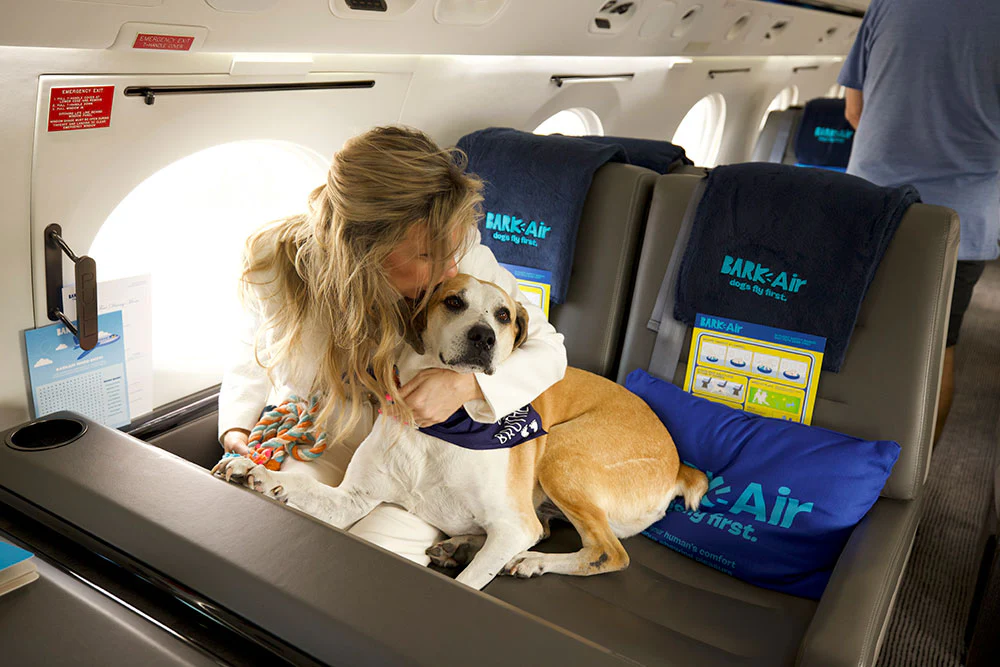 BARK Introduces New Era of Travel Made for Dogs with the Launch of BARK Air