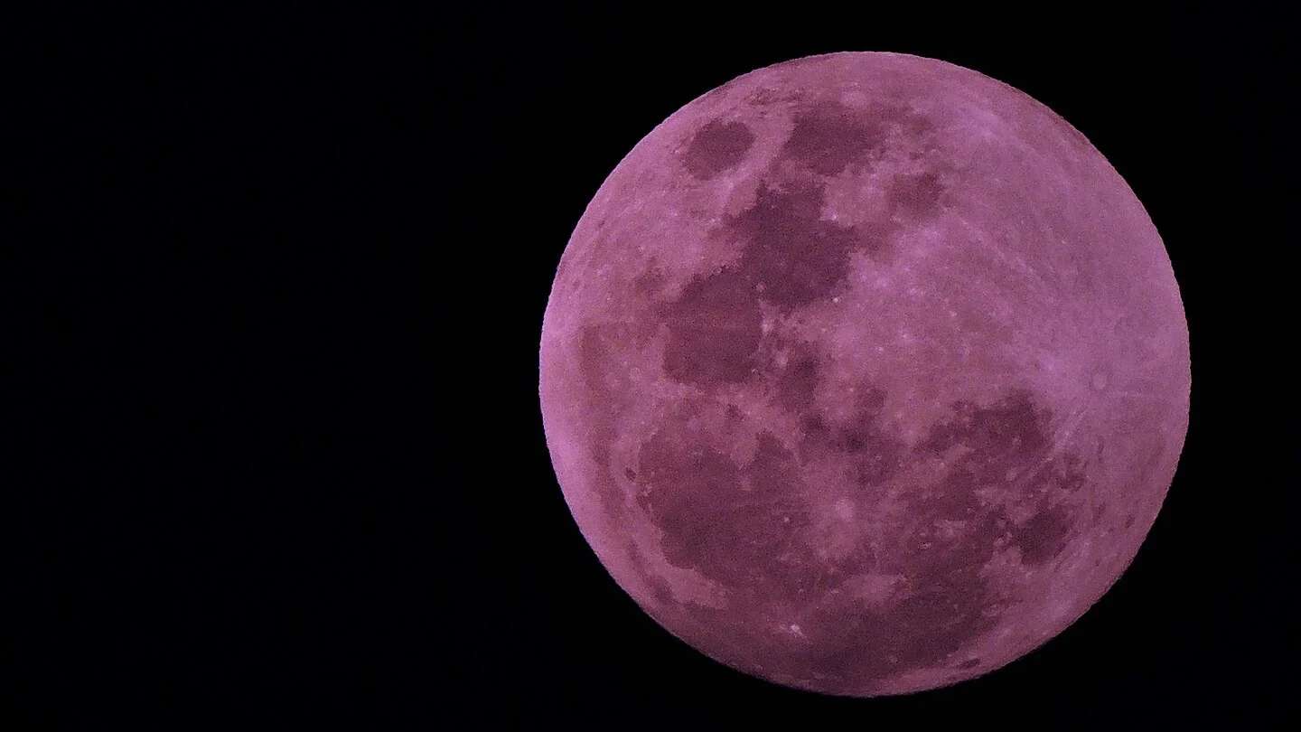 November's Pink Moon