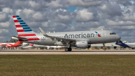 American Airlines First Class Passenger Trapped by 100 Pound Dog