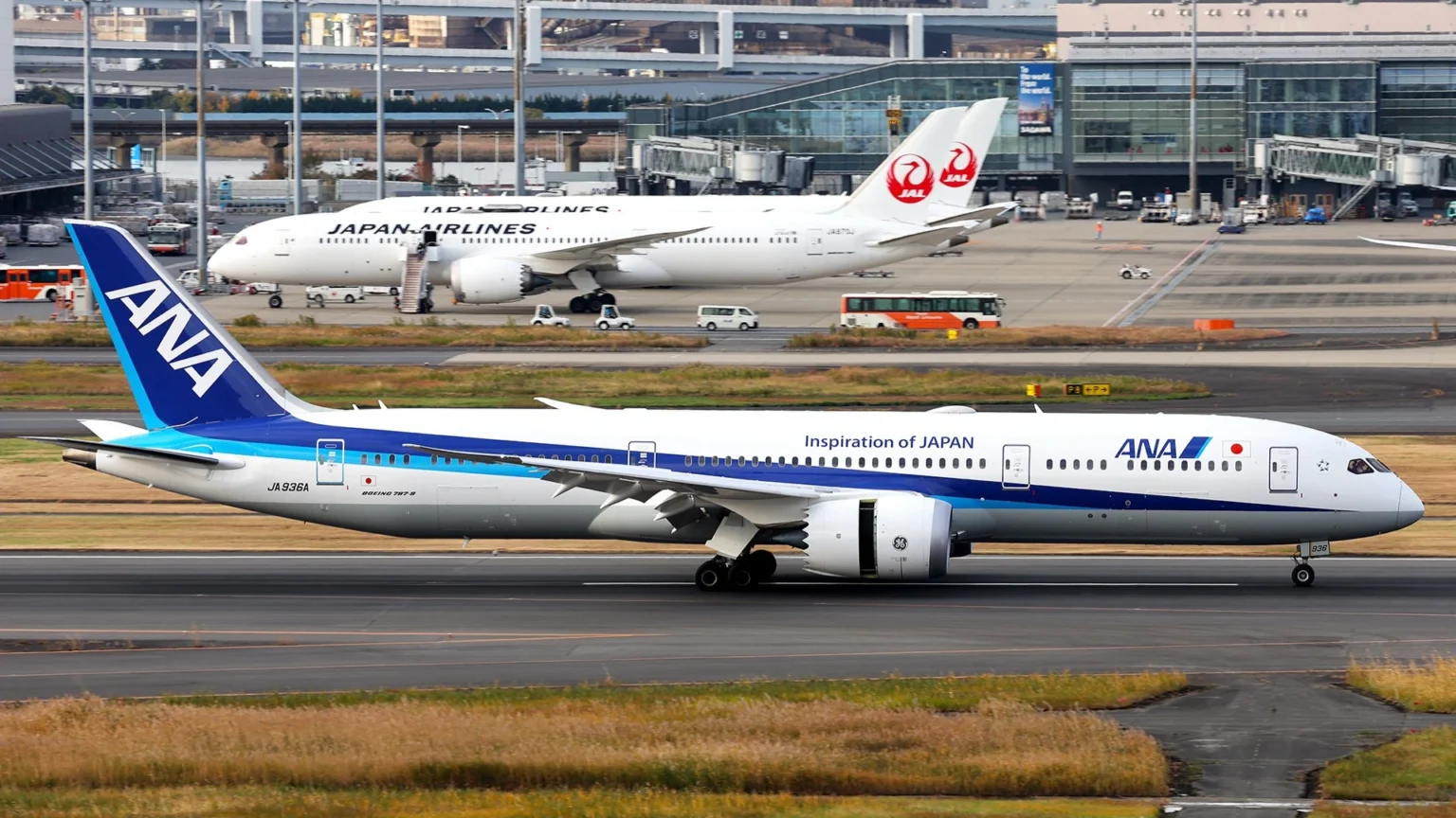 Airlines With Widest Economy Class Seats in the World in 2026