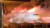 Air Busan Airbus A321 Catches Fire, All Crews and Passengers Evacuated