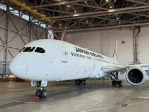 Japan Airlines Riglet Shaped Coating on Boeing 737