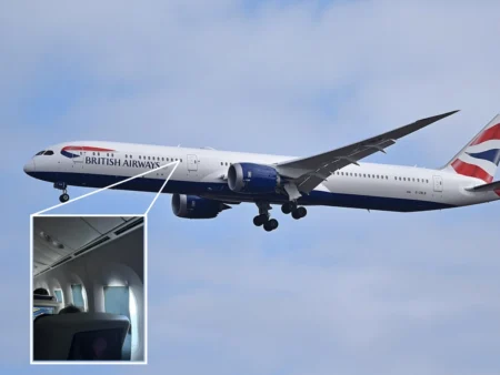 British Airways 787 Faces Window Dimming Failure on 14-Hour Flight