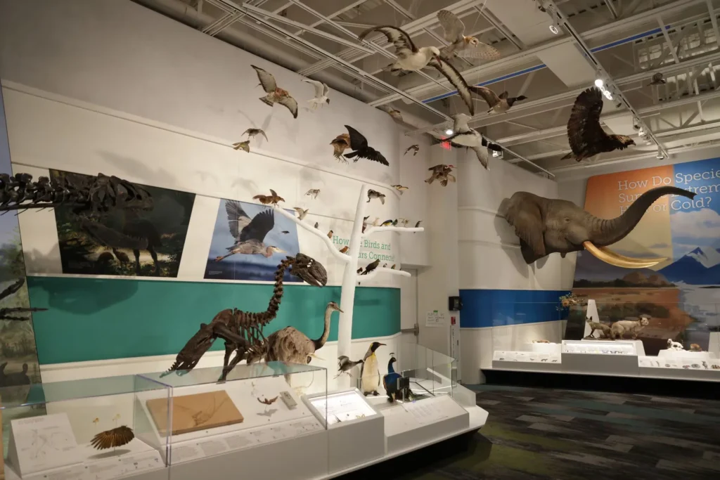 Cleveland Museum of Natural History - Cleveland, United States