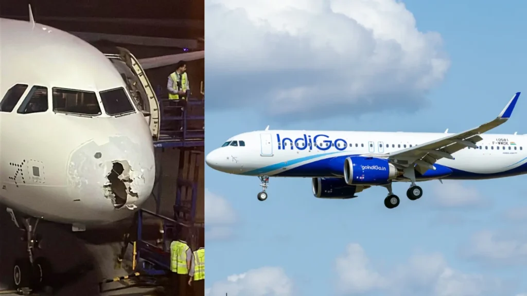 DGCA Grounds IndiGo Pilots After Delhi to Srinagar Flight Turbulence