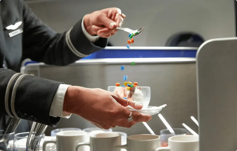 United Airlines New Meals Polaris