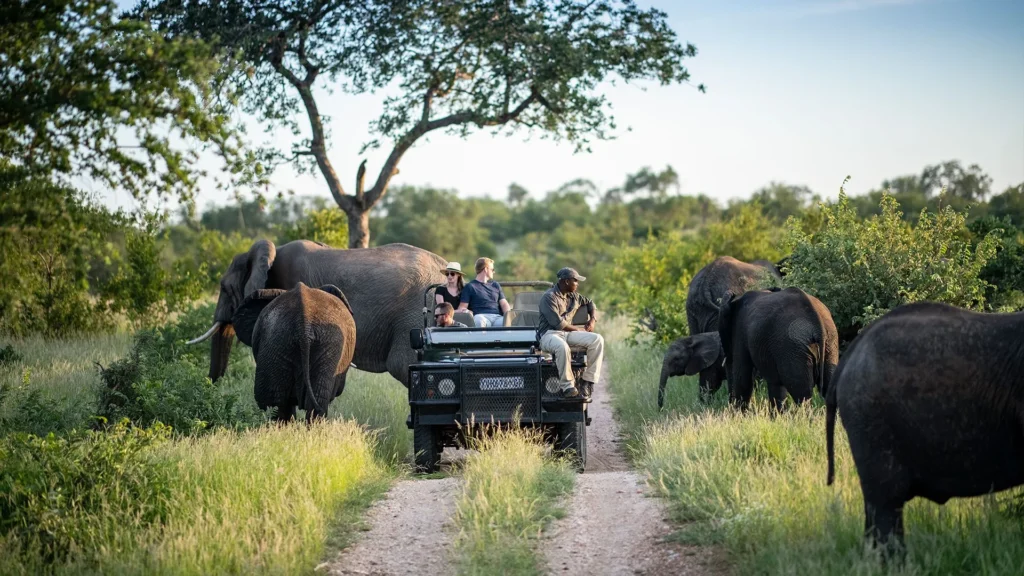 Top 10 Countries to Visit for Outdoor Adventure Travel in the World