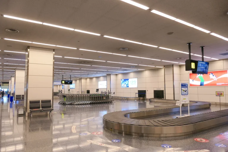 Japan Busts Record “Zombie Drug” Smuggling Ring at Major Airports
