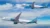 AviLease orders Airbus A350F freighters and A320neo Family aircraft