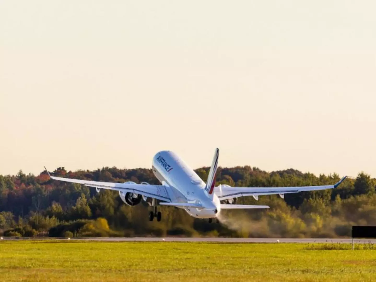 One-Fifth of Airbus A220 Fleet Grounded in the World