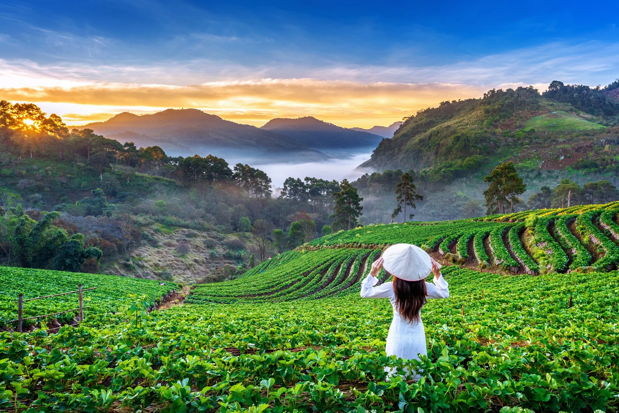 Top 5 Safest Countries for Solo Travellers in 2025