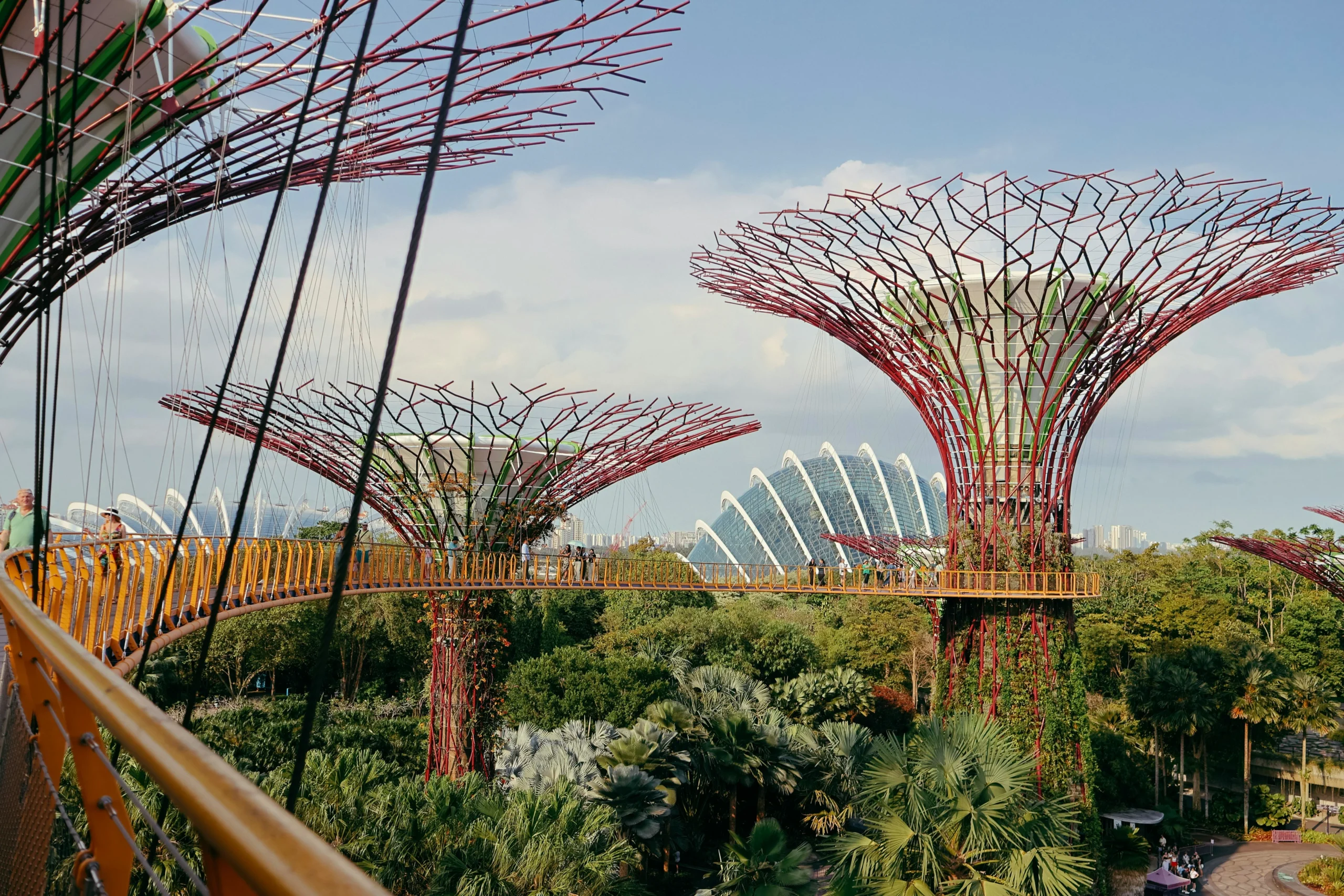 SuperTree Gove in Gardens By The Bay in Singapore