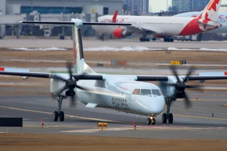 17 Passengers Wrongly Accused After Drug-Filled Bags Swapped at Toronto Pearson Airport