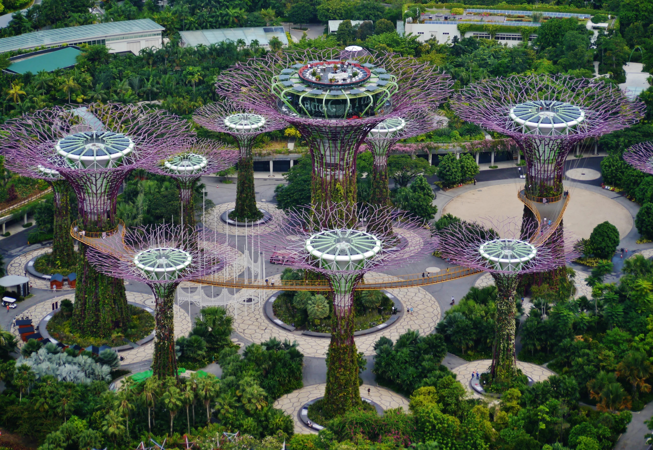 Supertree Grove in Gardens By The Bay in Singapore