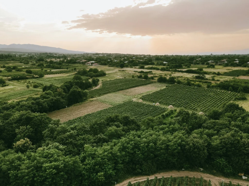 Aerial View of Wine Region of Kakheti in Georgia