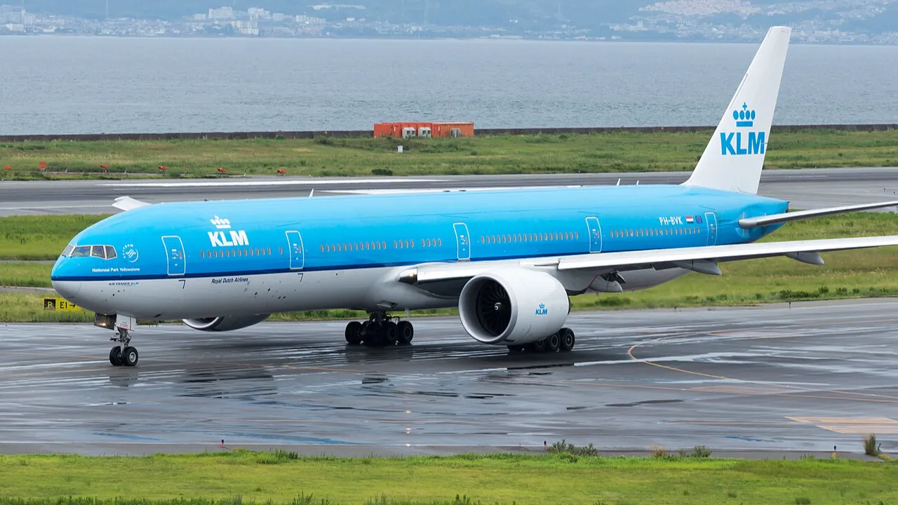 Aruba faced an unusual aviation disruption this week after a rat was discovered on board a KLM (KL) aircraft operating a scheduled service from Amsterdam Schiphol Airport (AMS) to Aruba Airport (AUA).