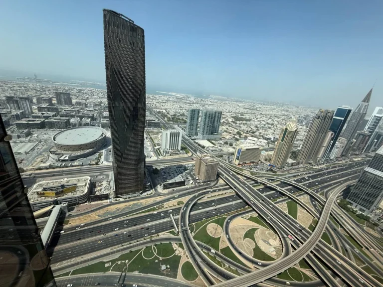 View at the palm