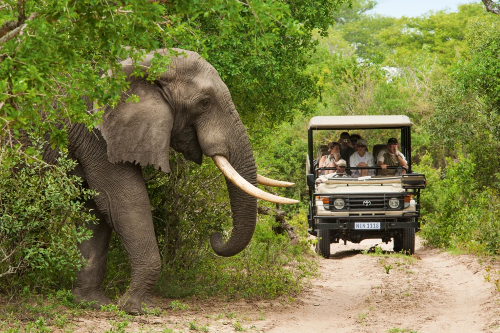 Johannesburg, South Africa