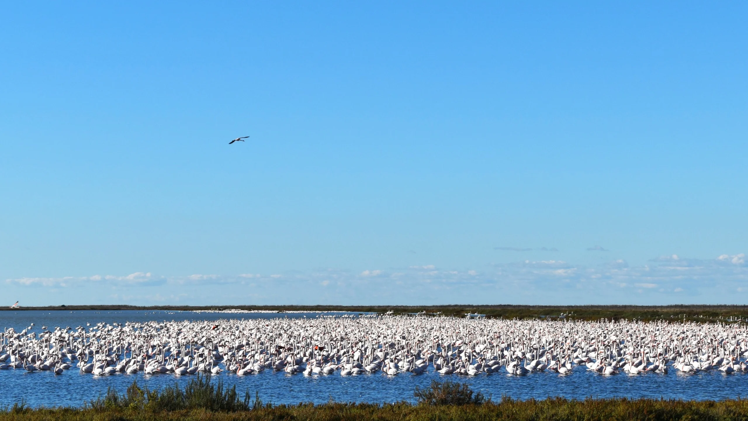 Top Travel Destinations to Visit in February 2026