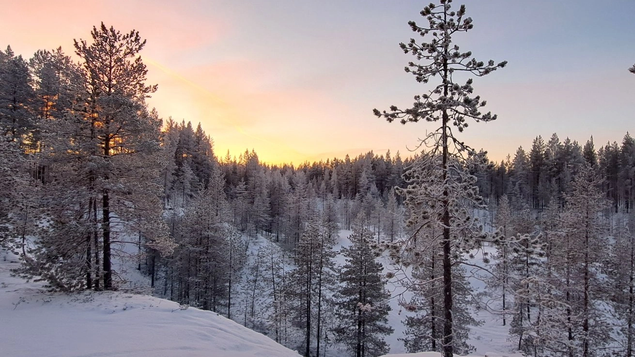 Finland Happiest Country in the World Offering Free Travel Opportunity
