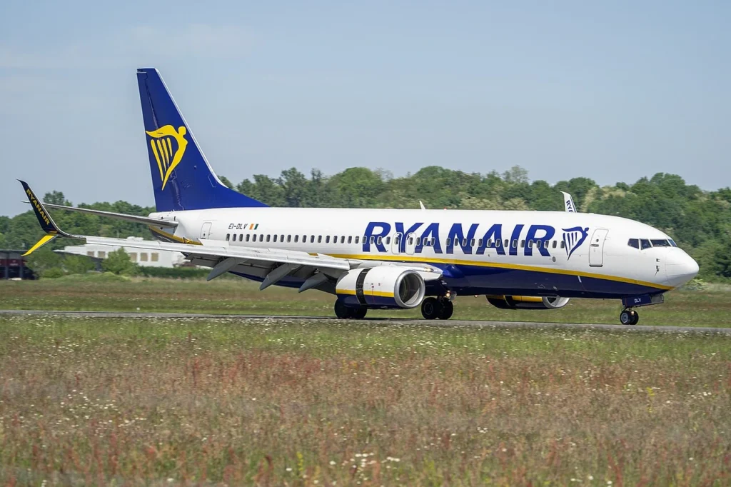 Ryanair Window Shattered After Engine Blade Breaks Due to Birds: Report